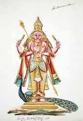 Skanda (wc papíron)