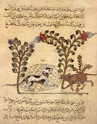 A macska és a patkány, arab miniatűr a "Kalila va dimna"-ból.
