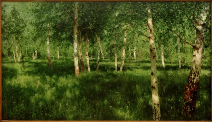 Nyírfaliget