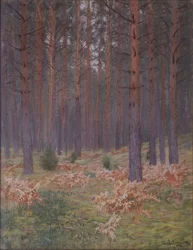 Páfrányok, 1894