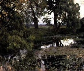 A benőtt tavacska