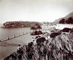 Montecarlói panoráma. Az előtérben agavé növények és kaktuszok sűrű növényzete