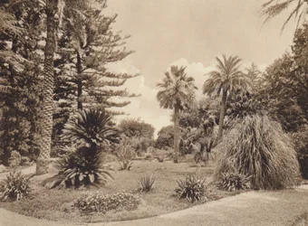 Szicília / Szicília: Villa Tasca, Palermo (fekete-fehér fotó)