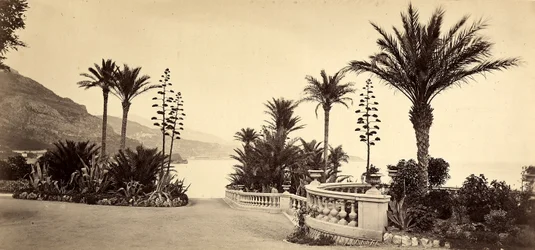 A Monte Carlo Kaszinó kertje, a Monacói Hercegségben