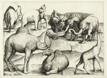 Állatfestmények az ókori Rómából, táblázat, 3., kocsma. Antonio Lafrere 1528