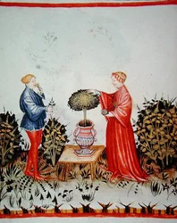 Fol.39v A Basilicum Curatum összegyűjtése, illusztráció a 