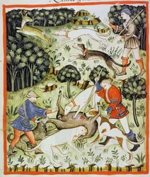 Fol.71v Vadászgazella, illusztráció a Tacuinum Santiatis Codex Vindobonensisből