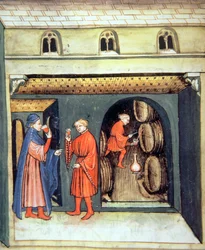 Fol.86v érlelt gyümölcsbor, illusztráció a Tacuinum Santiatis Codex Vindobonensisből