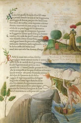Fol. 62r, „Almo Sol, that fronds ch