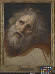 Head Of Laocoon (olaj, vászon)