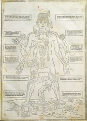 Illusztráció a "Fassiculus Medicinae" Velencéből