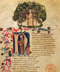 Ms It.474 Dante „Isteni színjátékának” nyitójelenete Dante alakjával a sötét fában (vellum)