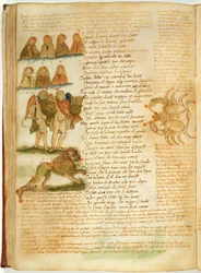 Ms Ital 483 P.4.7 f.156v Ikrek, Oroszlán és Rák, Fazio degli Uberti (vellum) „Dittamondójából”