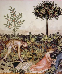 Nova 2644 fol.52r Torma betakarítása, a bécsi Tacuinum higiéniai kódexből