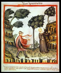 Nova 2644 fol.58v The North Wind, a Tacuinum Sanitatis cégtől
