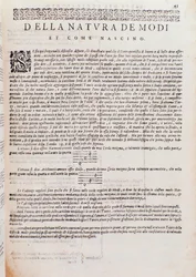 Az oldal Giovanni Maria Artusi Az ellenpont művészetéből