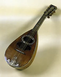 Giuseppe Filano által feltalált nápolyi mandolin csendélet. Nápoly 1784