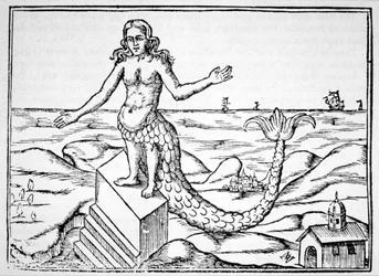 Az isteni sárkány, Athanasius Kirchner Oidipus Aegyptiacus-illusztrációjának másolata, Róma, 1652, a Mágiatörténetben használt, 19. század végén megjelent