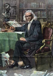Theodor Mommsen (1817 - 1903), német történész és politikus (irodalmi Nobel-díj 1902) - a "La Tribuna illustrata" című folyóiratban.