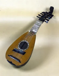 Velencei mandolin csendélet