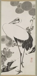 Daru, függő tekercs, Edo-időszak (tinta papíron)