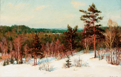 Tél – kilátás az erdőre