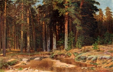 Fenyves, 1898, 1939