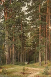 Nyári nap, Merikiül, 1895