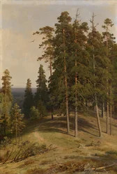 A fenyőerdő, 1895