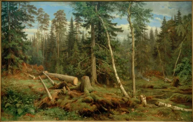I. I. Siszkin, Fakivágás