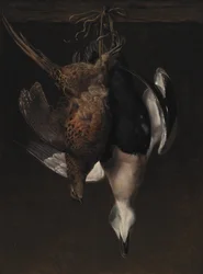 Játszma, meccs. Fácán és Eider
