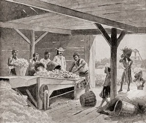 Rabszolgák egy 19. századi gyapotmagtalanító géppel dolgoznak egy ültetvényen az Amerikai Egyesült Államok egyik déli államában, a „The History of Our Country” című, 1905-ben megjelent műből