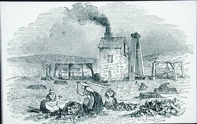 Rézércek törése és válogatása a "Cyclopaedia of Useful Arts & Manufactures"-ból, szerkesztette Charles Tomlinson, 1880-as évek körül (metszet)