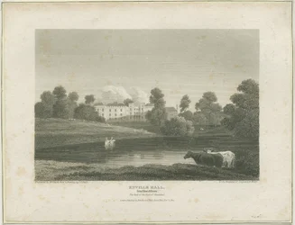 Enville Hall: metszet, nd [c 1814] (nyomtatás)