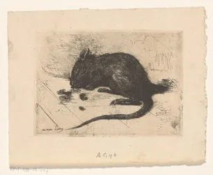 Egér
