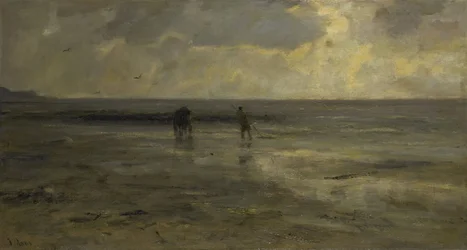 Strand este