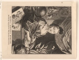 Maria Sibylla Merian portréja Maria Sibylla Merian (cím a tárgyon)