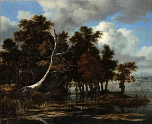 ""Tölgyek a tónál tavirózsákkal" Jacob Isaacksz van Ruisdael festménye (1628/29-1682) Olaj, vászon Mérete 116,6x142 cm Staatliche Museen, Berlin