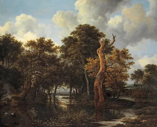 Erdős mocsári táj halott fával, kb. 1665
