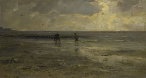 Strand éjszaka