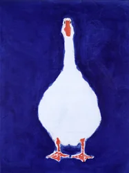 Libafa, 2000
