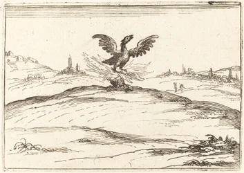 Égő Főnix, 1628.