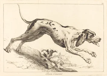 Chien courent (futókutya)