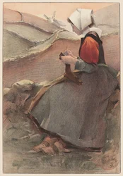 Pusztai virág, 1897.