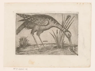 Vogel Tartena (cím az objektumon) Vogels (sorozat címe)
