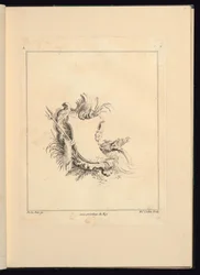Tengert idéző Cartouche dizájn