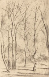 A Dam Wood, 1875.