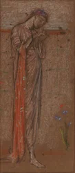 A lila írisz, 18711872.