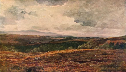 A határvidék, 1904
