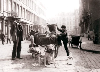 Fiú kutyakocsival, Antwerpen, 1898.